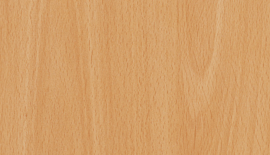 бук | Фото - 0